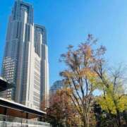 ゆりあ とろけちゃう♡♡ 奥鉄オクテツ東京店（デリヘル市場）