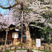 ヒメ日記 2026/03/27 11:07 投稿 ゆりあ 奥鉄オクテツ東京店（デリヘル市場）