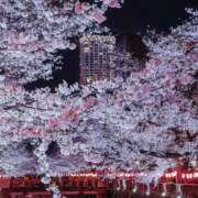 ヒメ日記 2026/04/03 23:11 投稿 ゆりあ 奥鉄オクテツ東京店（デリヘル市場）