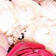 ヒメ日記 2025/03/22 08:56 投稿 ちはる 奥鉄オクテツ東京店（デリヘル市場）