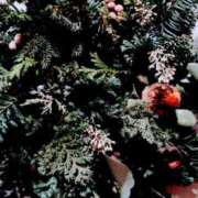 ちはる ※無題 奥鉄オクテツ東京店（デリヘル市場）