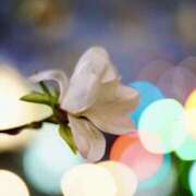 ヒメ日記 2025/07/11 12:06 投稿 あやこ 奥鉄オクテツ東京店（デリヘル市場）