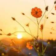 ヒメ日記 2025/10/03 22:42 投稿 あやこ 奥鉄オクテツ東京店（デリヘル市場）