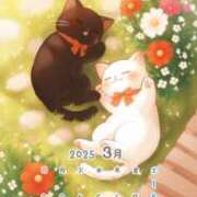 ヒメ日記 2025/03/13 14:20 投稿 あんな 奥鉄オクテツ東京店（デリヘル市場）