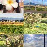 ヒメ日記 2025/09/23 08:37 投稿 あんな 奥鉄オクテツ東京店（デリヘル市場）