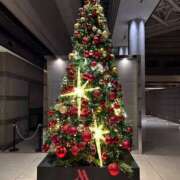 ヒメ日記 2024/12/18 08:33 投稿 まい 奥鉄オクテツ東京店（デリヘル市場）