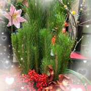 ヒメ日記 2025/01/02 09:01 投稿 まい 奥鉄オクテツ東京店（デリヘル市場）