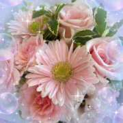 ヒメ日記 2025/01/23 09:37 投稿 まい 奥鉄オクテツ東京店（デリヘル市場）