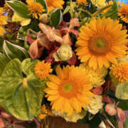 ヒメ日記 2025/08/06 14:37 投稿 まい 奥鉄オクテツ東京店（デリヘル市場）