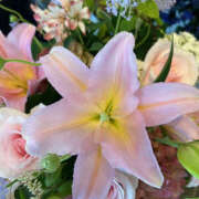 ヒメ日記 2025/09/09 13:17 投稿 まい 奥鉄オクテツ東京店（デリヘル市場）