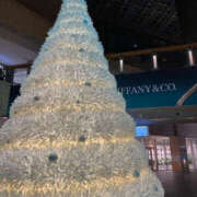 ヒメ日記 2025/12/07 17:25 投稿 まい 奥鉄オクテツ東京店（デリヘル市場）