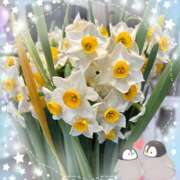 ヒメ日記 2026/02/03 11:12 投稿 まい 奥鉄オクテツ東京店（デリヘル市場）