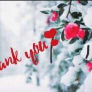 ヒメ日記 2024/12/15 15:27 投稿 かぐや 奥鉄オクテツ東京店（デリヘル市場）