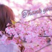 かぐや 御礼② 奥鉄オクテツ東京店（デリヘル市場）