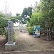 ヒメ日記 2025/06/13 17:31 投稿 水朝 美樹 Club-Embassy