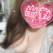 ヒメ日記 2025/05/28 10:22 投稿 れお☆ 豊橋豊川ちゃんこ