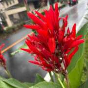 ヒメ日記 2026/03/10 12:52 投稿 えみる 五反田サンキュー