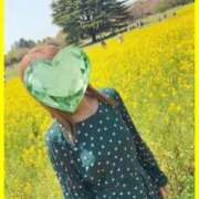 ヒメ日記 2025/05/01 09:03 投稿 ひとみ 小田原人妻城