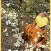 ヒメ日記 2025/05/26 09:03 投稿 ひとみ 小田原人妻城