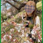 ヒメ日記 2025/12/24 20:34 投稿 ひとみ 小田原人妻城