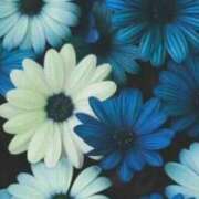 ヒメ日記 2025/01/09 05:30 投稿 みなみ レッドろまん枚方店