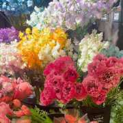 ヒメ日記 2025/03/07 05:30 投稿 みなみ レッドろまん枚方店