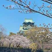 ヒメ日記 2025/04/07 05:30 投稿 みなみ レッドろまん枚方店