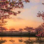 ヒメ日記 2025/04/10 05:30 投稿 みなみ レッドろまん枚方店