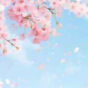 ヒメ日記 2025/04/11 05:30 投稿 みなみ レッドろまん枚方店