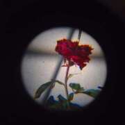 ヒメ日記 2025/05/10 05:30 投稿 みなみ レッドろまん枚方店