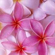 ヒメ日記 2025/05/13 05:30 投稿 みなみ レッドろまん枚方店