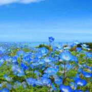 ヒメ日記 2025/05/16 05:30 投稿 みなみ レッドろまん枚方店