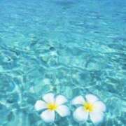 ヒメ日記 2025/05/20 05:30 投稿 みなみ レッドろまん枚方店