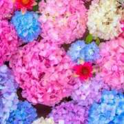 ヒメ日記 2025/05/29 05:30 投稿 みなみ レッドろまん枚方店