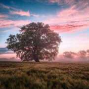 ヒメ日記 2025/05/30 05:30 投稿 みなみ レッドろまん枚方店