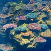 ヒメ日記 2025/06/16 05:30 投稿 みなみ レッドろまん枚方店