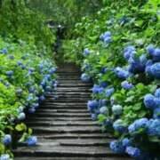 ヒメ日記 2025/06/21 05:30 投稿 みなみ レッドろまん枚方店