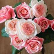 ヒメ日記 2025/07/03 05:30 投稿 みなみ レッドろまん枚方店