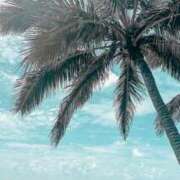 ヒメ日記 2025/07/07 05:30 投稿 みなみ レッドろまん枚方店