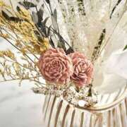 ヒメ日記 2025/07/17 05:30 投稿 みなみ レッドろまん枚方店