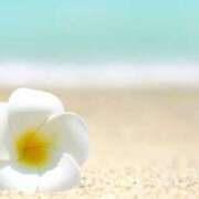 ヒメ日記 2025/07/18 05:30 投稿 みなみ レッドろまん枚方店