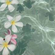 ヒメ日記 2025/08/18 05:30 投稿 みなみ レッドろまん枚方店