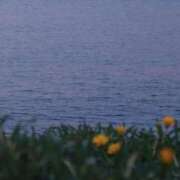 ヒメ日記 2025/09/01 05:30 投稿 みなみ レッドろまん枚方店