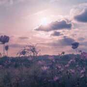 ヒメ日記 2025/09/02 05:30 投稿 みなみ レッドろまん枚方店