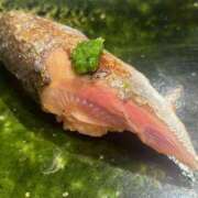 ヒメ日記 2025/09/04 05:30 投稿 みなみ レッドろまん枚方店