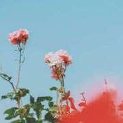 ヒメ日記 2025/09/08 05:30 投稿 みなみ レッドろまん枚方店