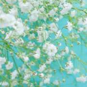 ヒメ日記 2025/09/12 05:30 投稿 みなみ レッドろまん枚方店