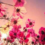 ヒメ日記 2025/09/30 05:30 投稿 みなみ レッドろまん枚方店