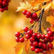 ヒメ日記 2025/10/18 05:30 投稿 みなみ レッドろまん枚方店