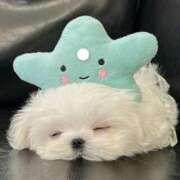 ヒメ日記 2025/10/27 05:30 投稿 みなみ レッドろまん枚方店